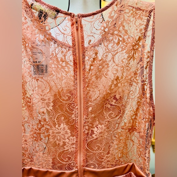 Forever 21 + Plus Sizes Elegant Dusty Pink Lace & Tulle Dress - Picture 13 of 16